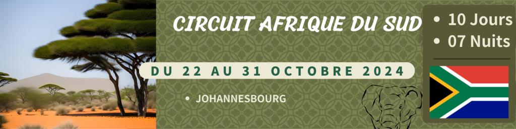 Bandeau voyage Arique du Sud